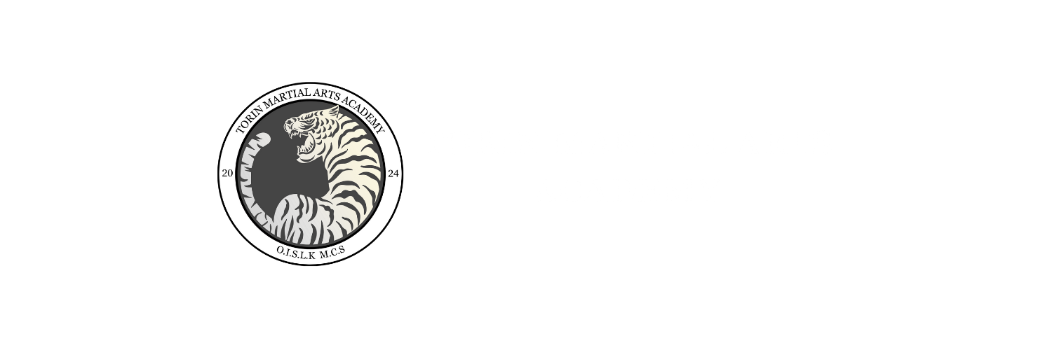 Torin Martial Arts logo - Academy Blast martial arts school marketing client