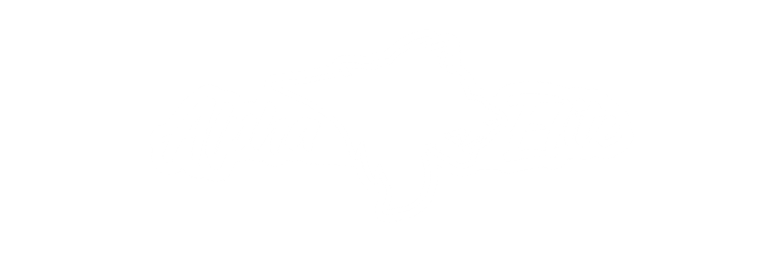 Alpha Elite Martial Arts logo - Academy Blast martial arts school marketing client