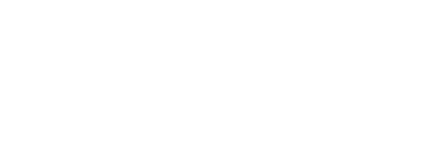 TS Taekwondo logo - Academy Blast martial arts school marketing client